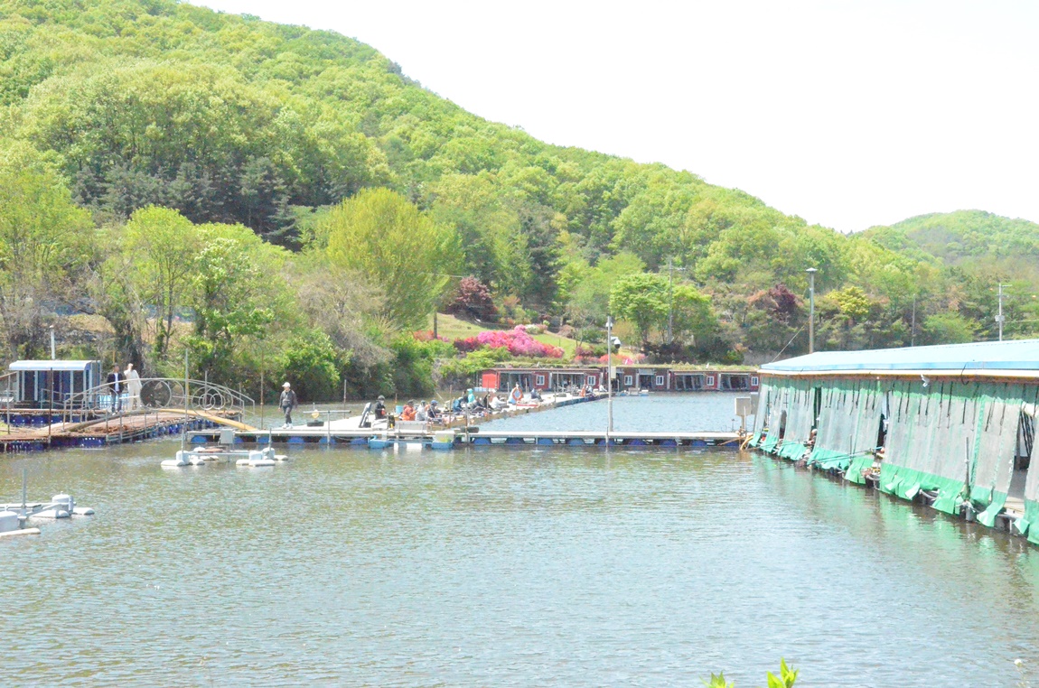 DSC_2959.JPG