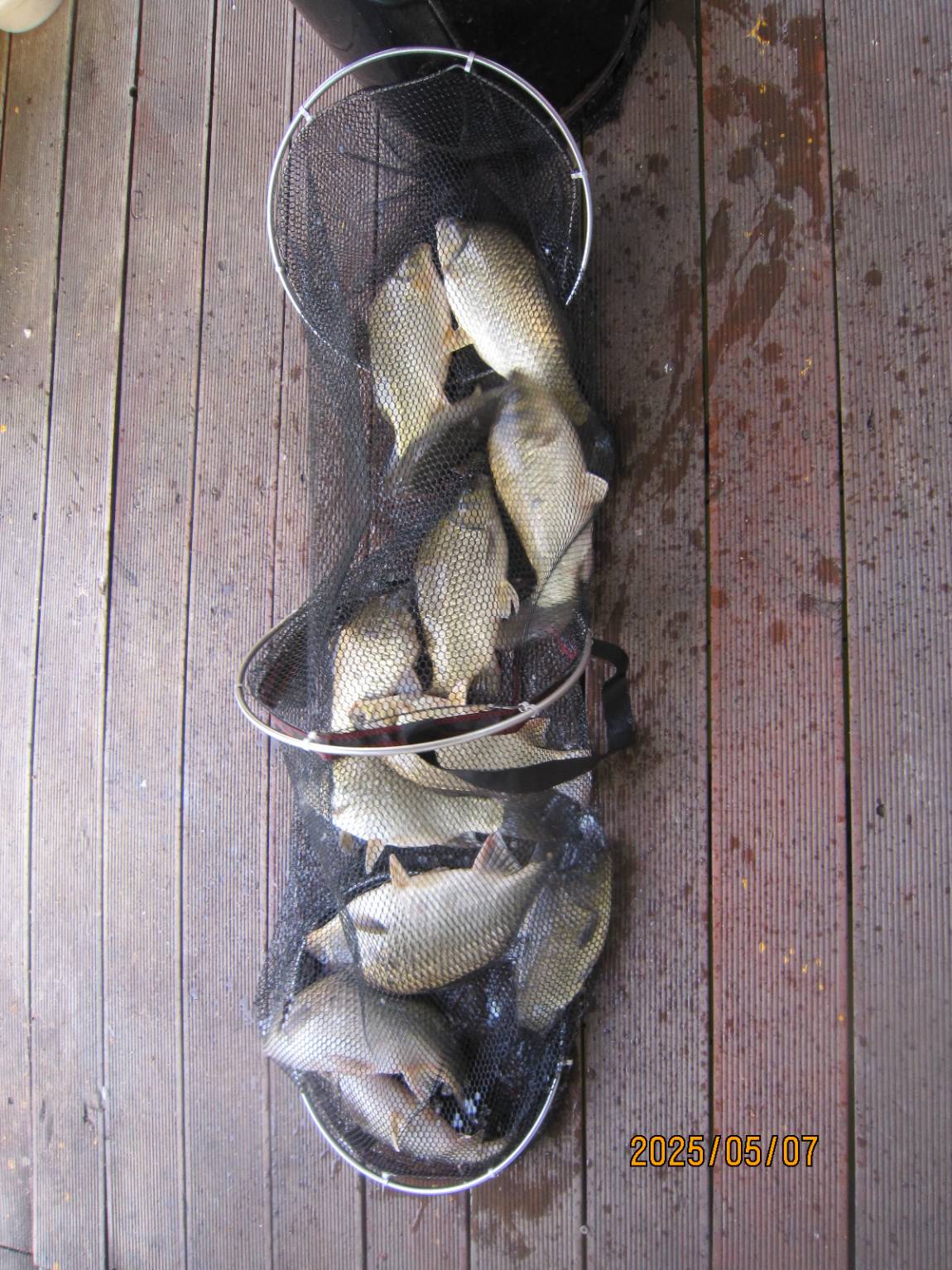 IMG_4274.JPG