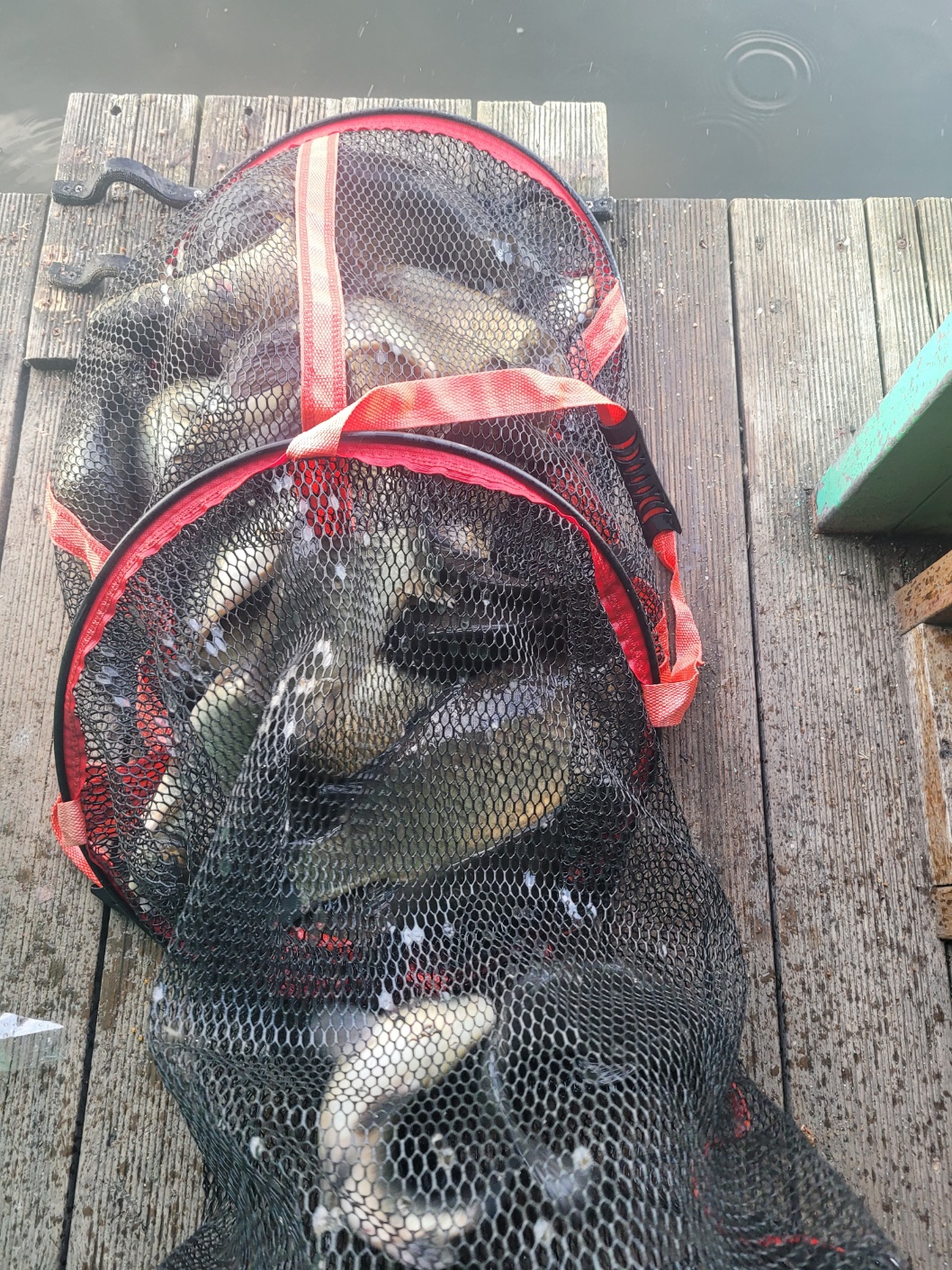 KakaoTalk_20250507_063817808.jpg