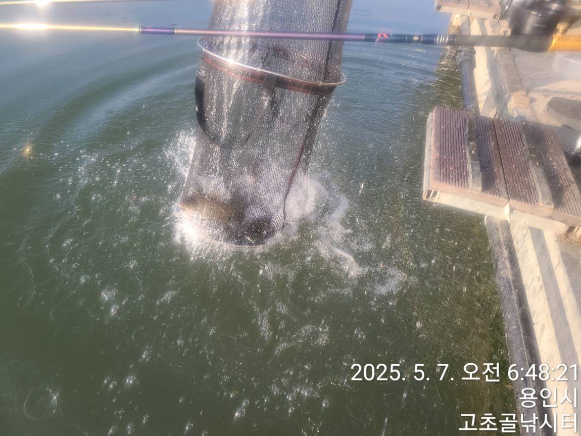 1746682884108-3.jpg