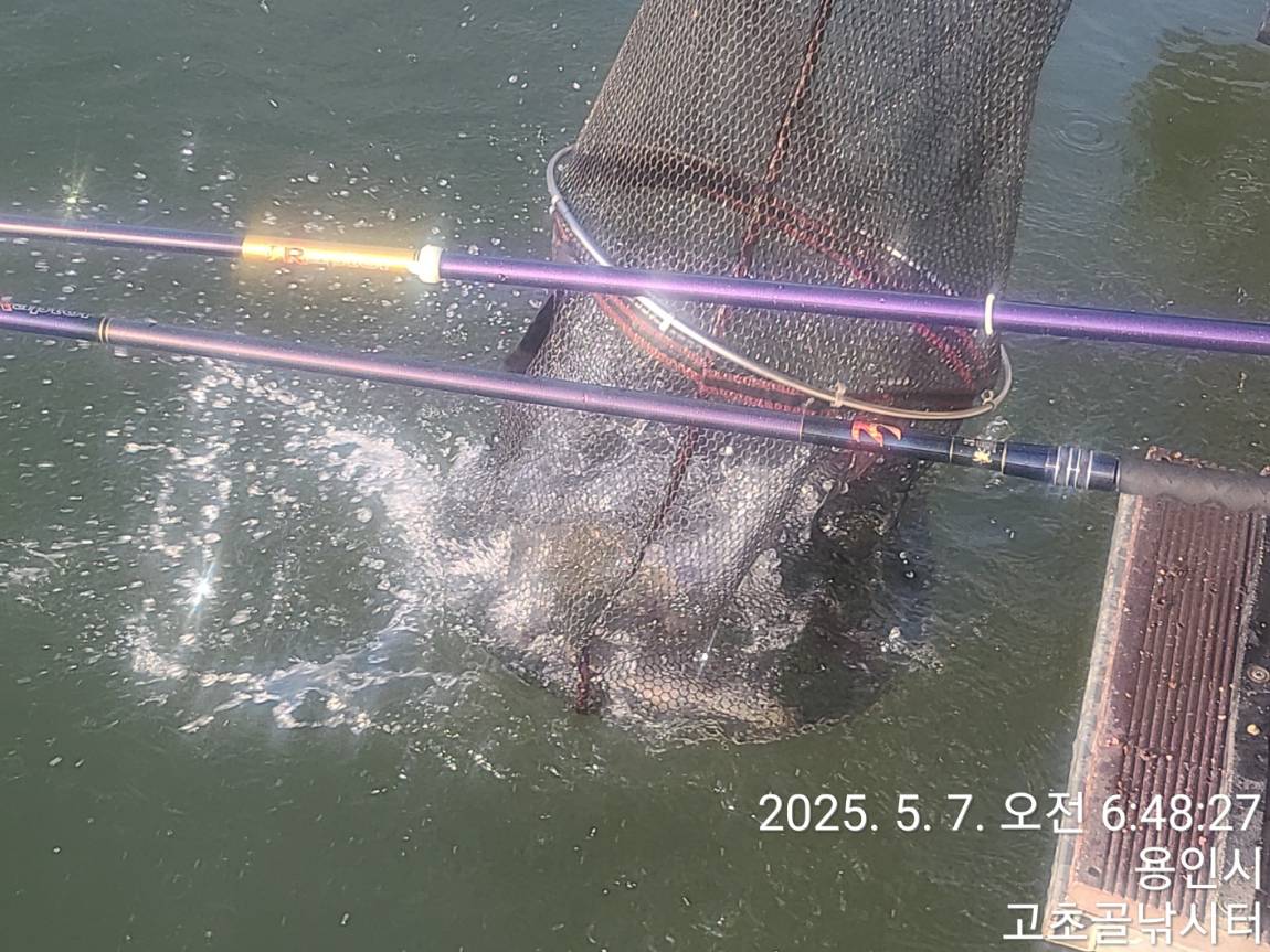 1746682884108-5.jpg