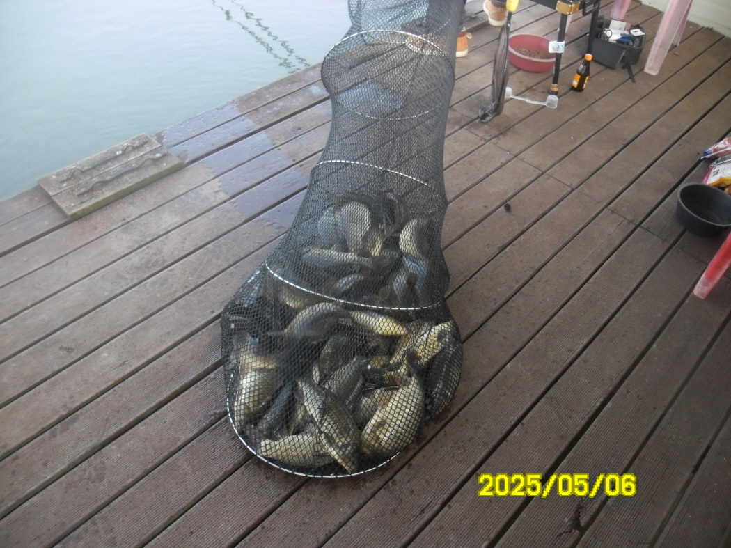 SAM_2240.JPG