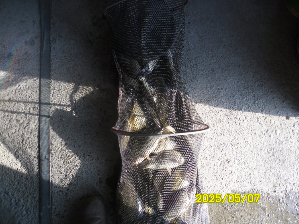 SAM_2280.JPG