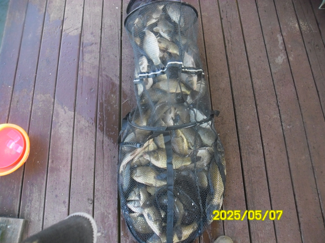 SAM_2285.JPG