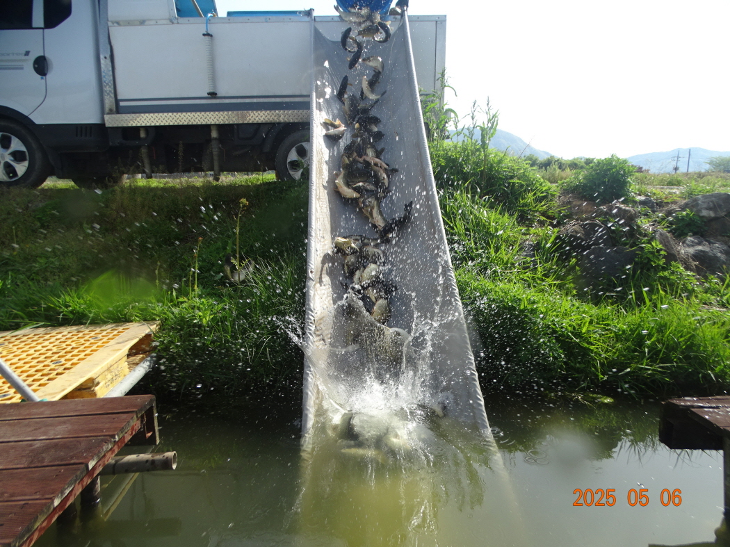 DSC01640.JPG