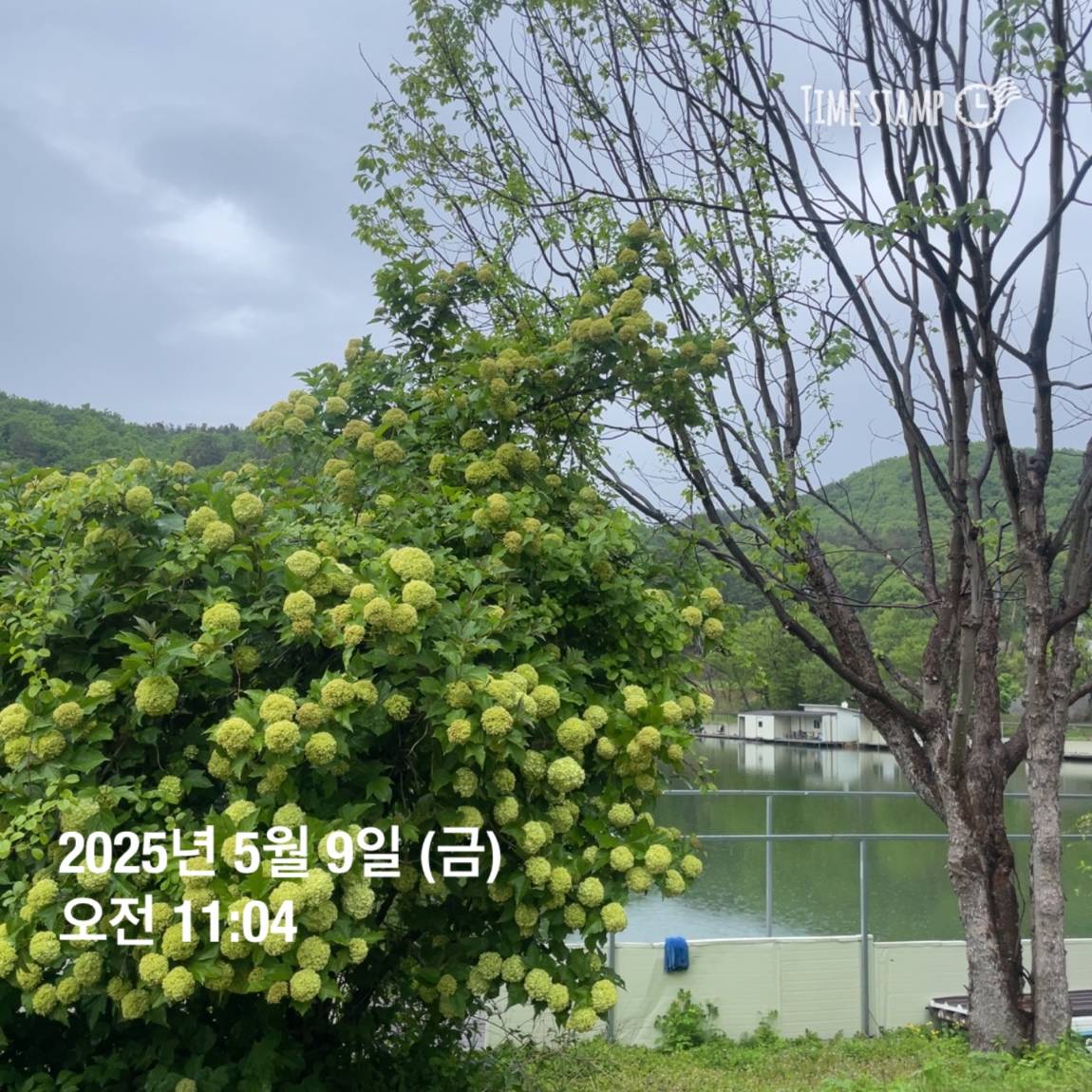 KakaoTalk_20250509_113822057_01.jpg