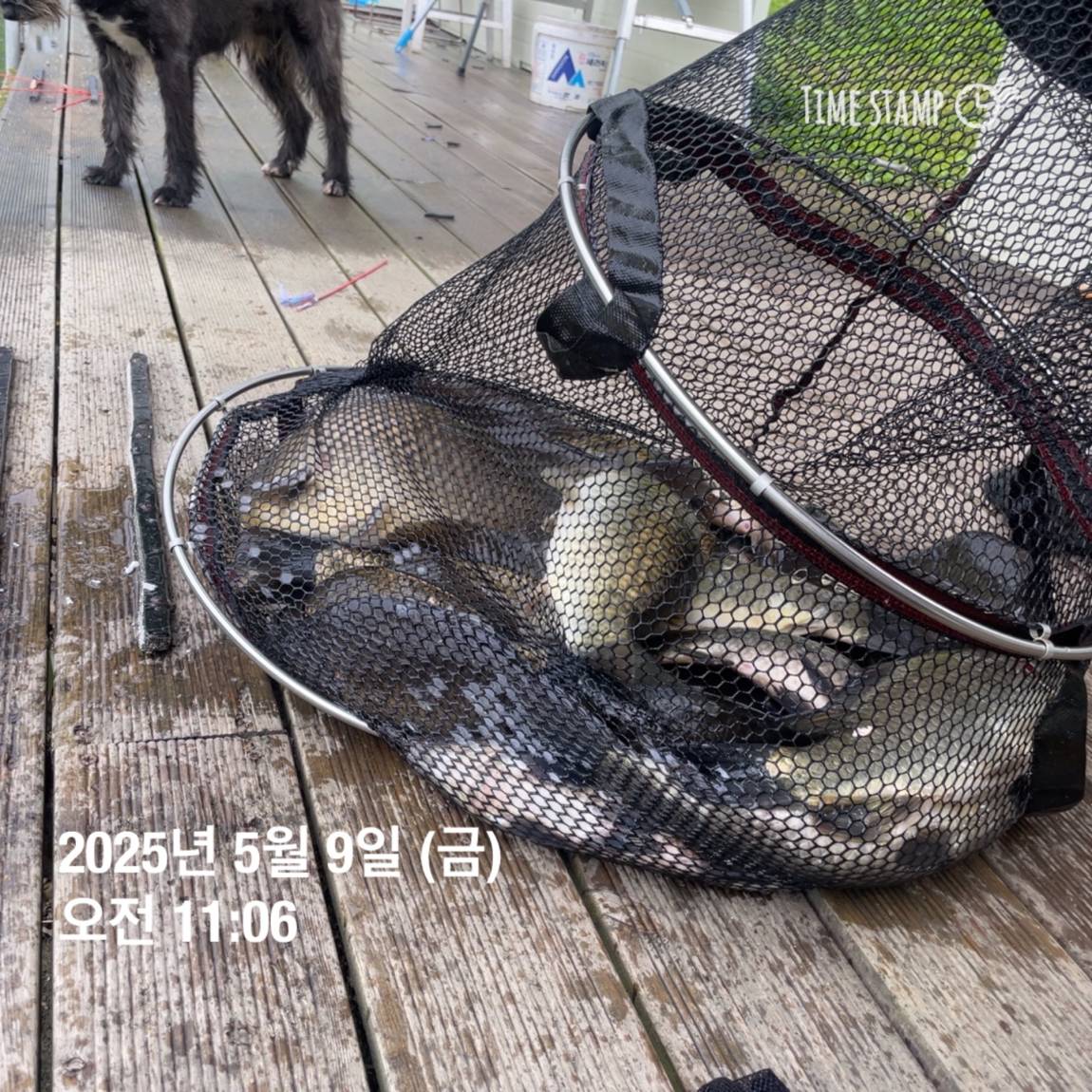 KakaoTalk_20250509_113822057_05.jpg