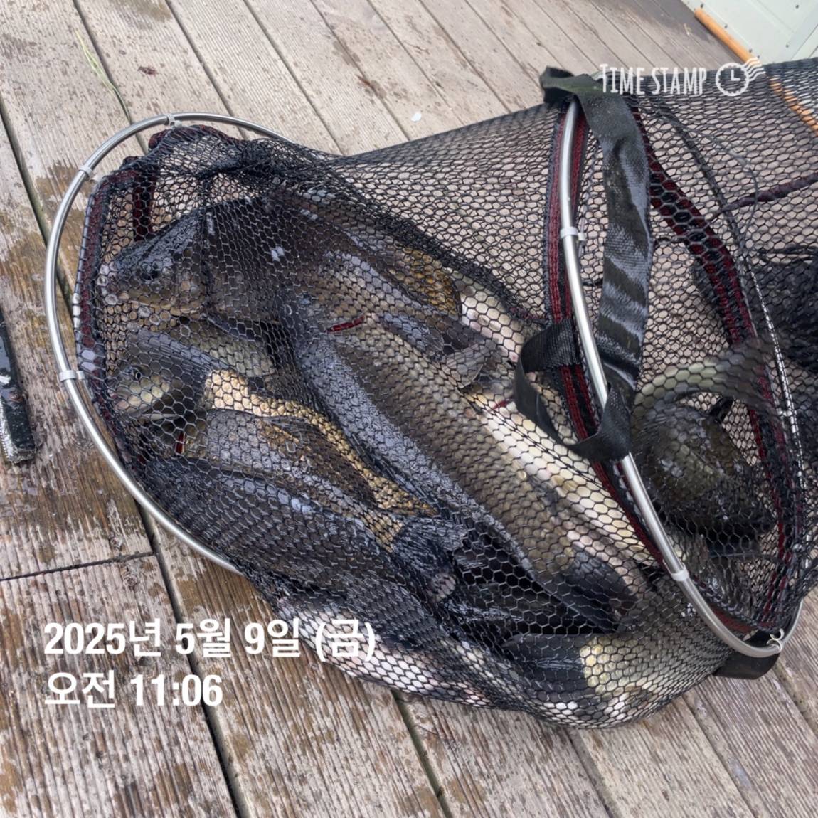 KakaoTalk_20250509_113822057_04.jpg