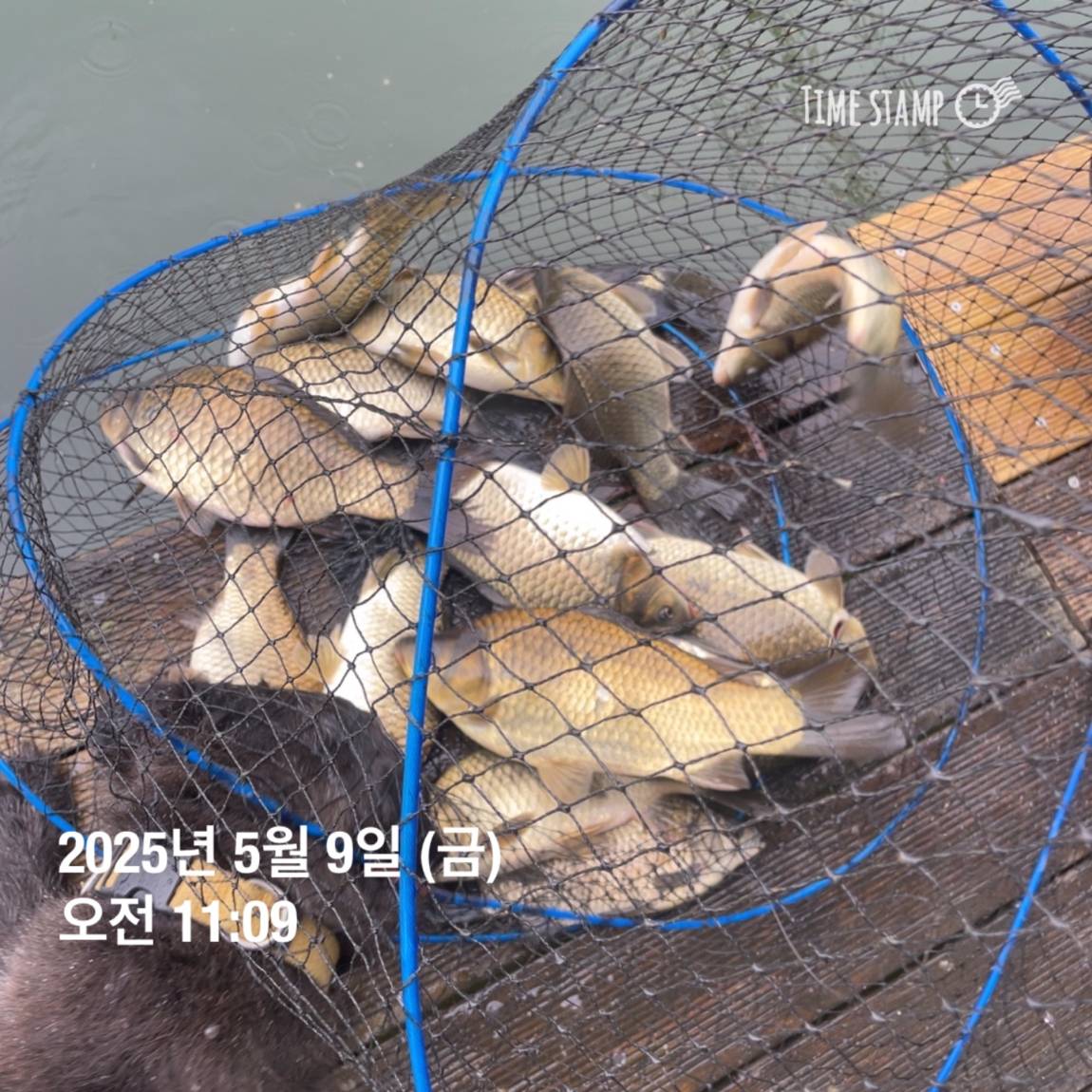 KakaoTalk_20250509_113822057_08.jpg