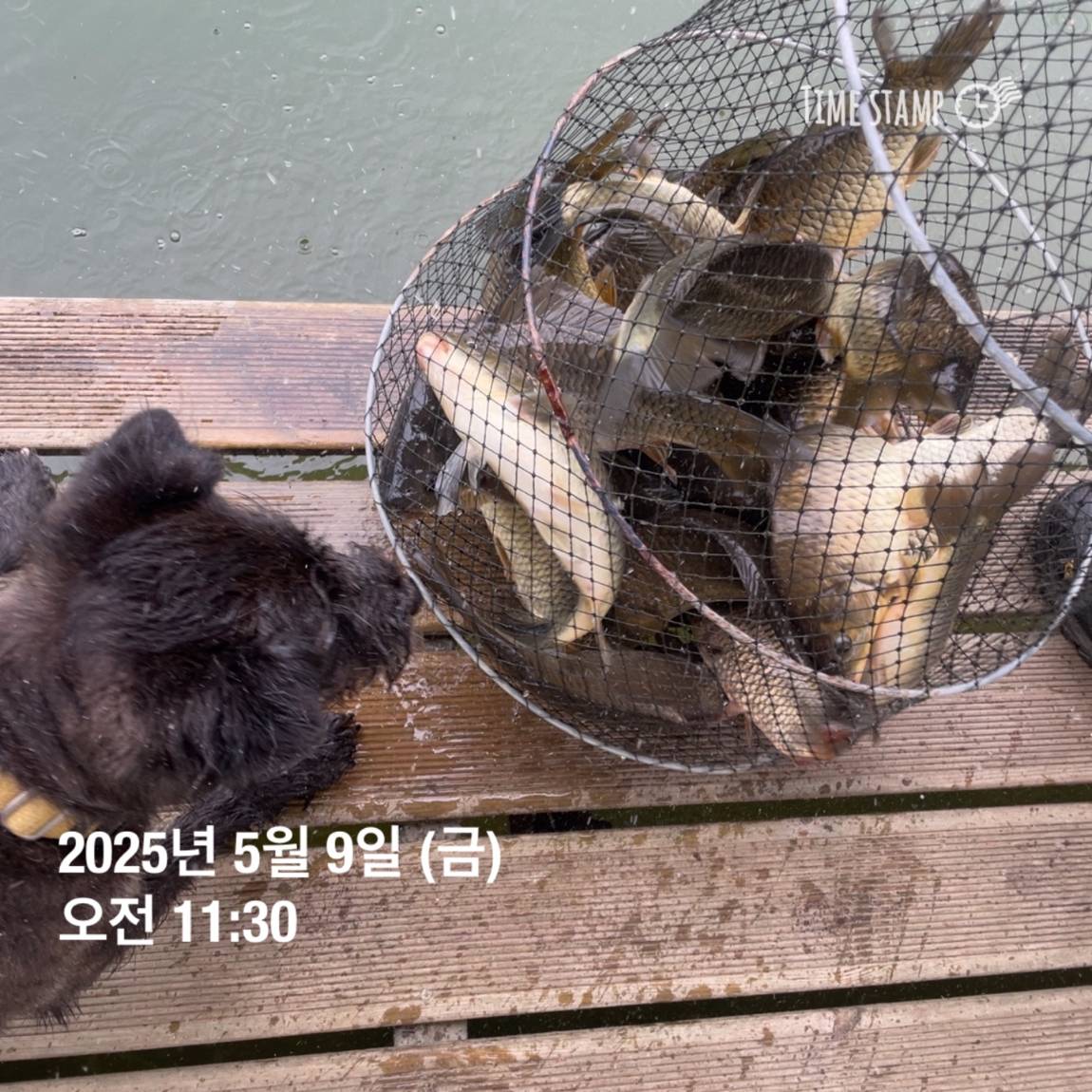 KakaoTalk_20250509_113822057_09.jpg
