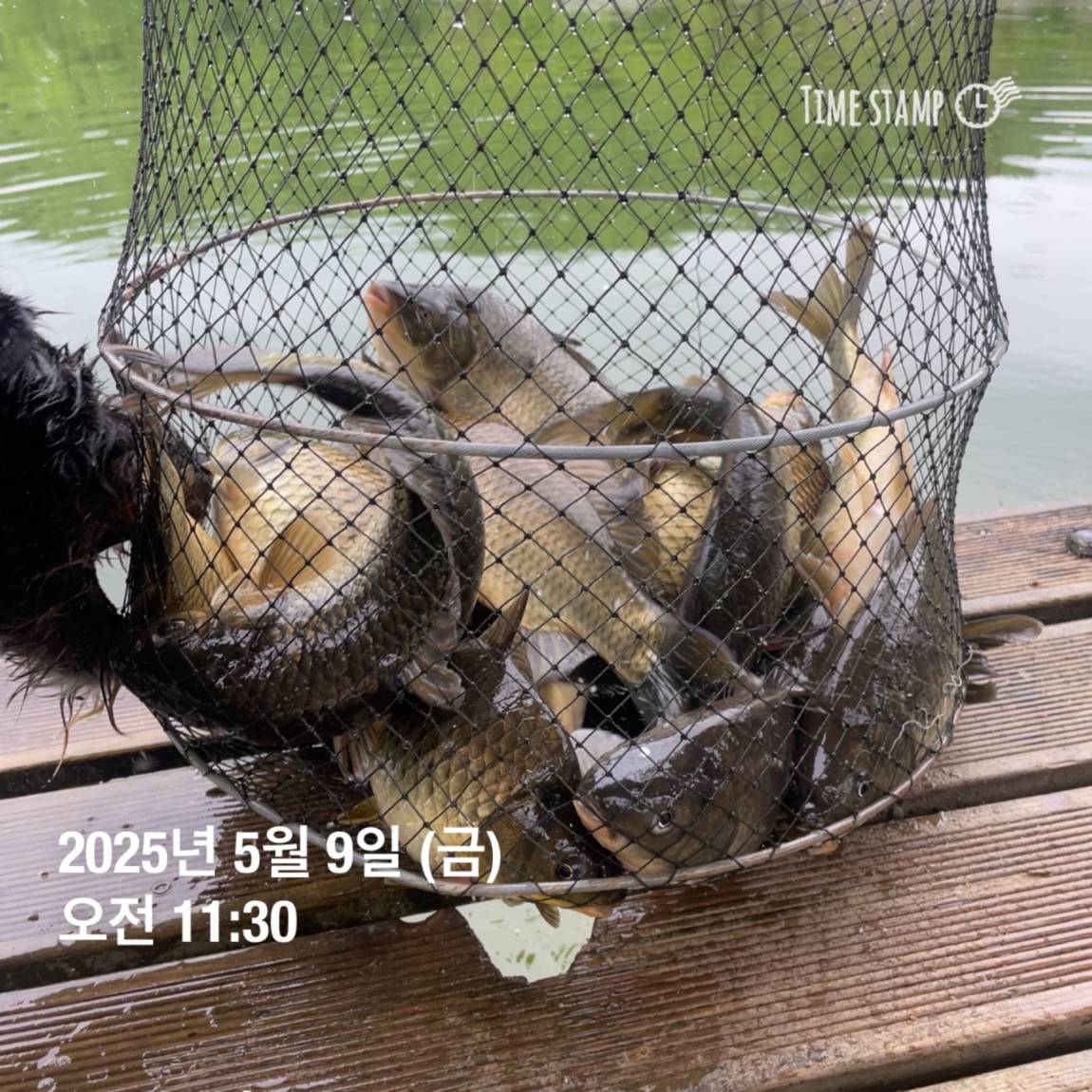 KakaoTalk_20250509_113822057_11.jpg
