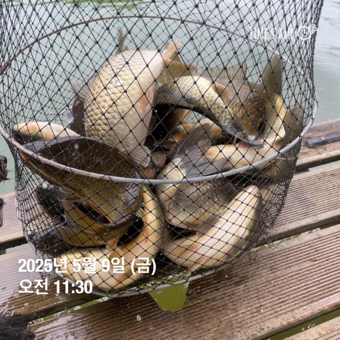 KakaoTalk_20250509_113822057_10.jpg