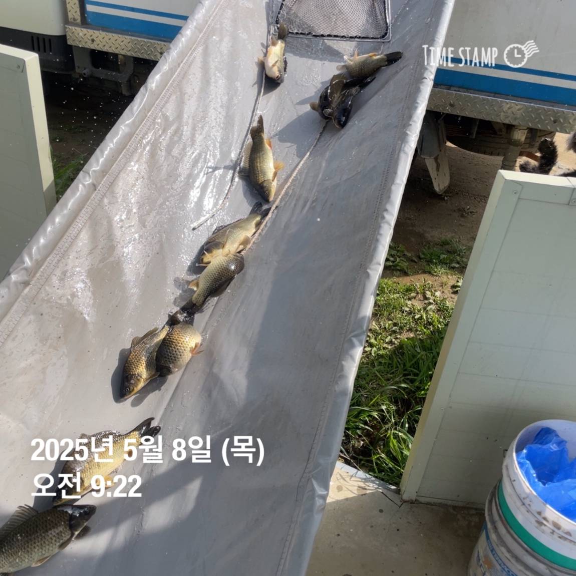KakaoTalk_20250509_113822057_15.jpg