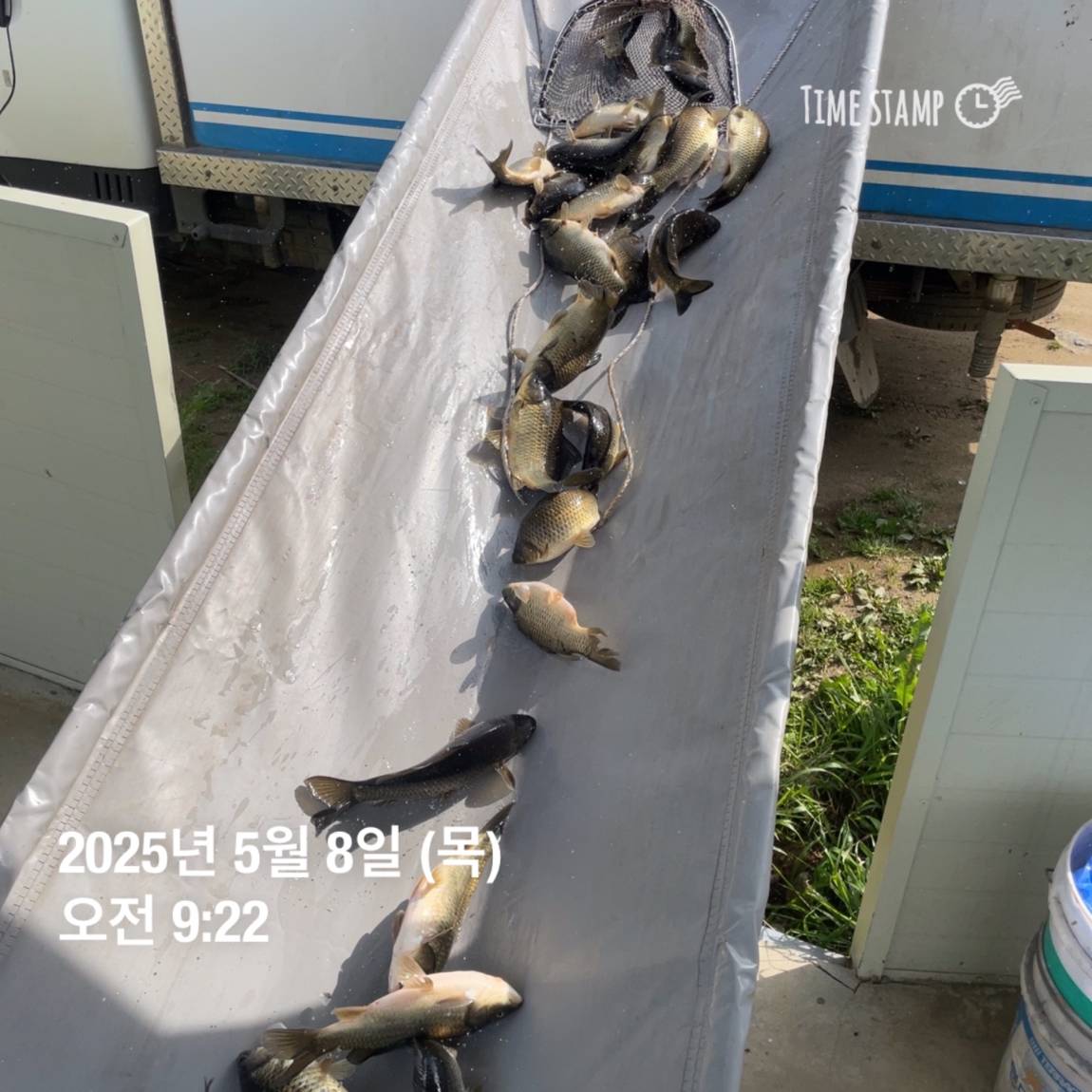 KakaoTalk_20250509_113822057_14.jpg