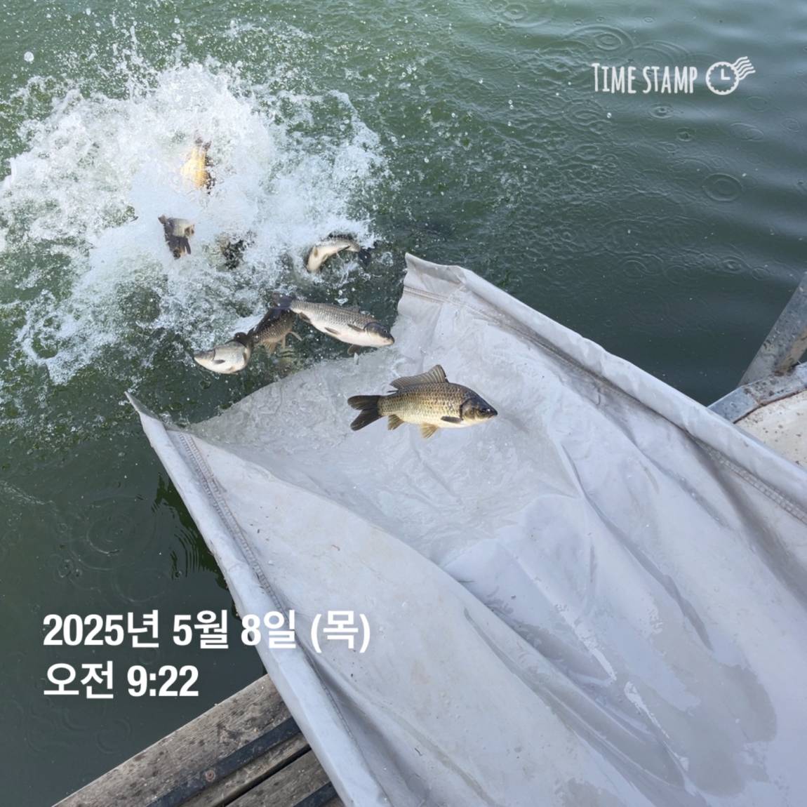 KakaoTalk_20250509_113822057_18.jpg