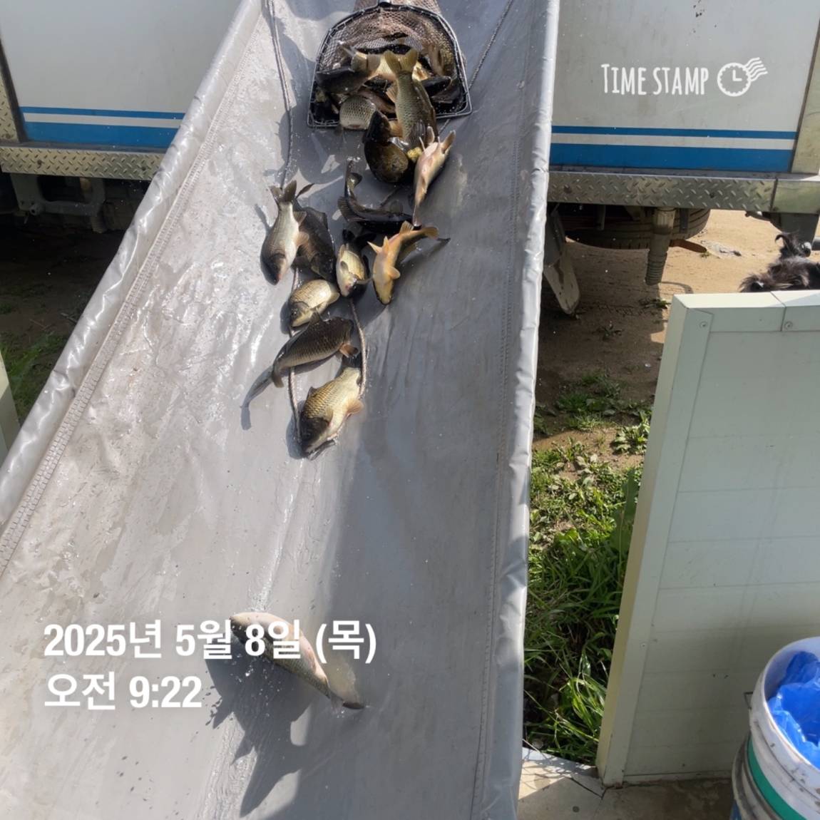 KakaoTalk_20250509_113822057_16.jpg