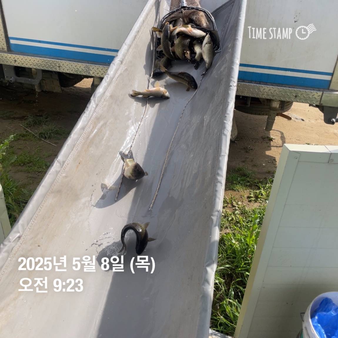 KakaoTalk_20250509_113822057_22.jpg