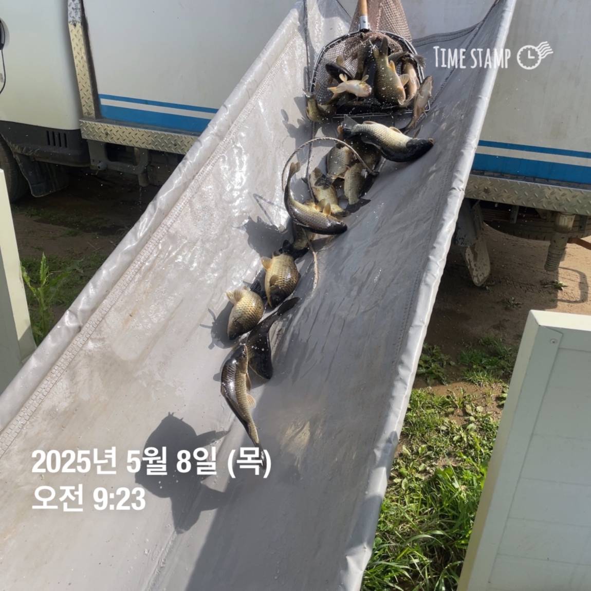 KakaoTalk_20250509_113822057_23.jpg