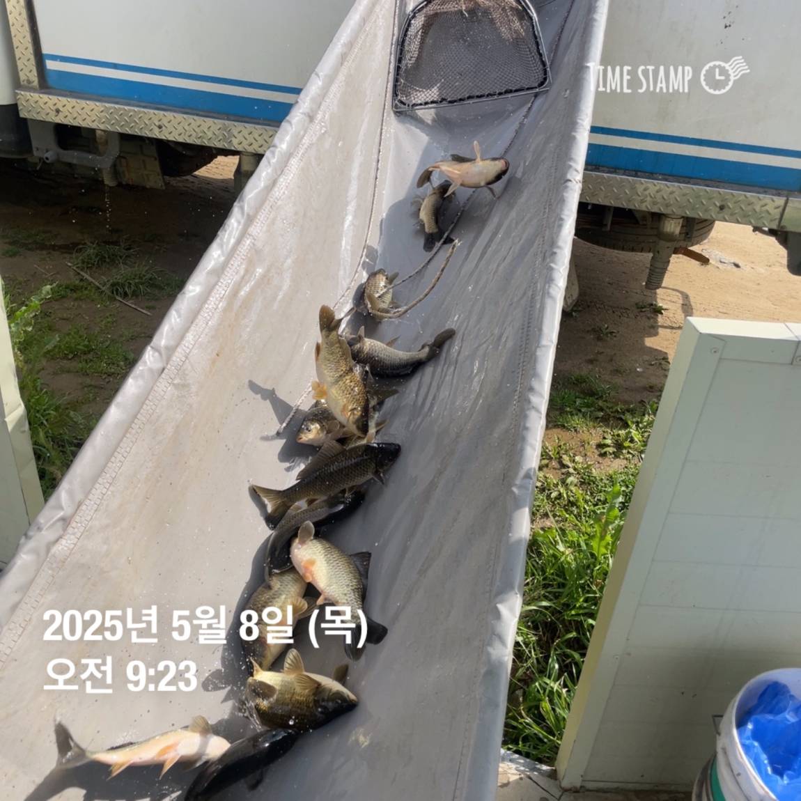 KakaoTalk_20250509_113822057_25.jpg