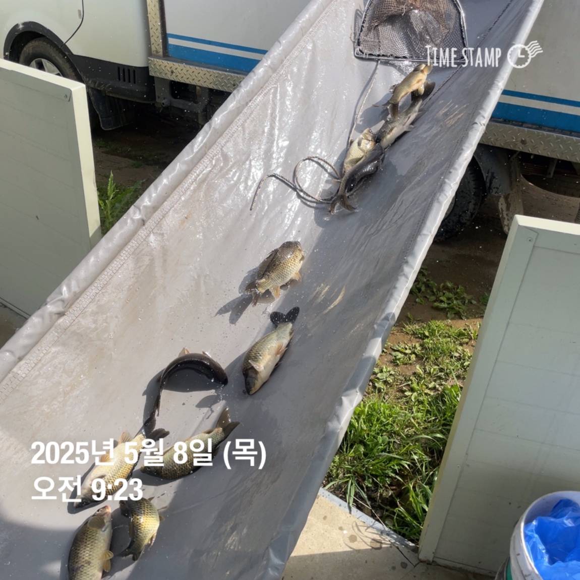 KakaoTalk_20250509_113822057_26.jpg