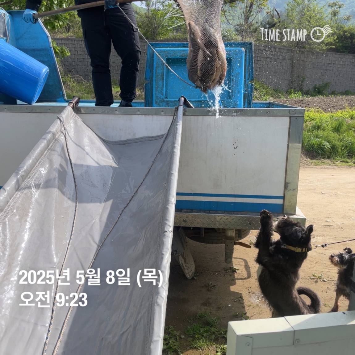 KakaoTalk_20250509_113822057_27.jpg