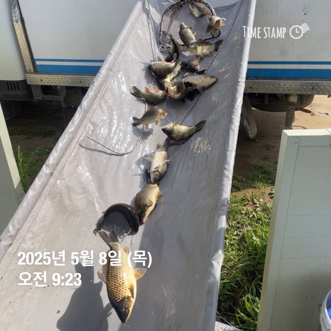 KakaoTalk_20250509_113822057_28.jpg
