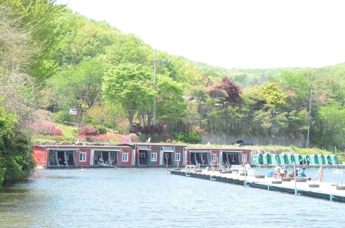 DSC_2911.JPG