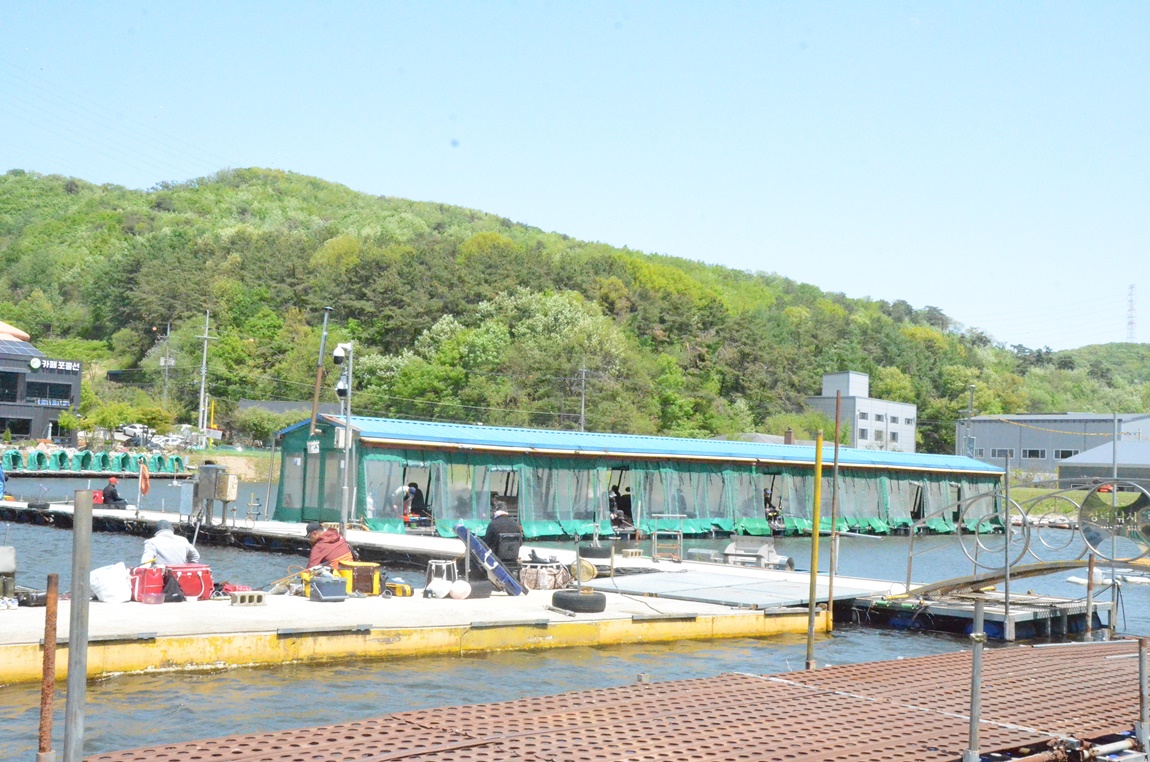 DSC_2913.JPG