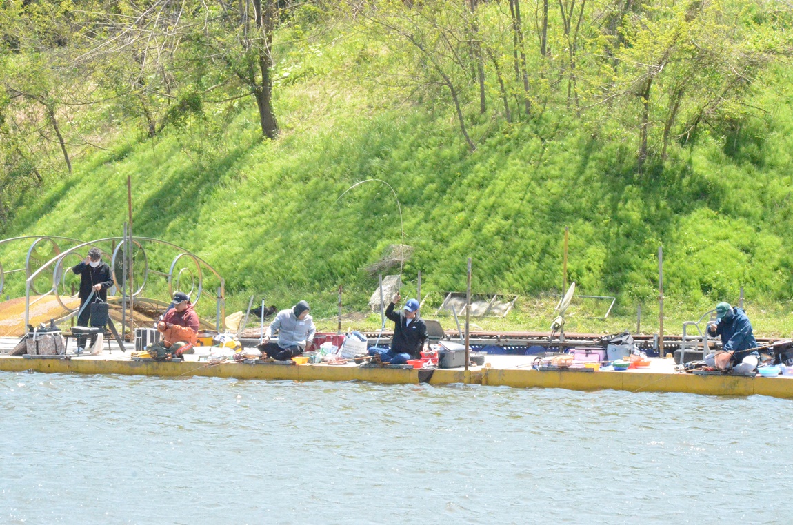 DSC_2920.JPG