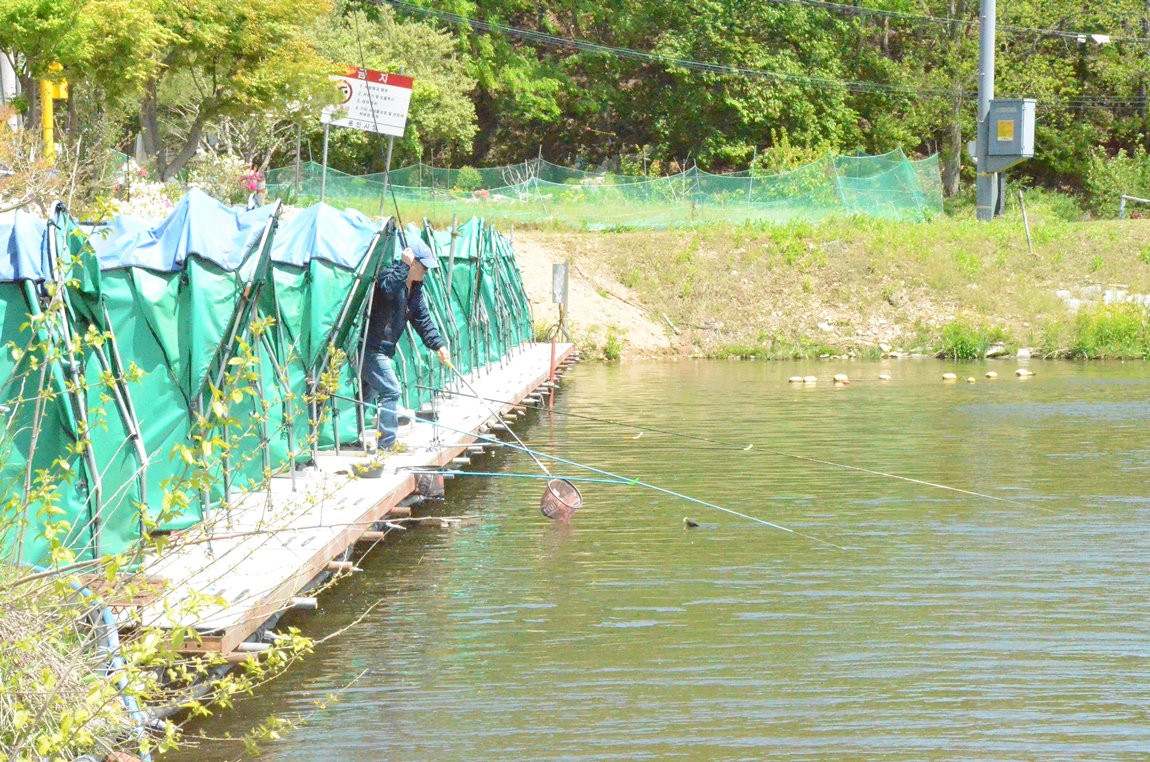 DSC_2936.JPG