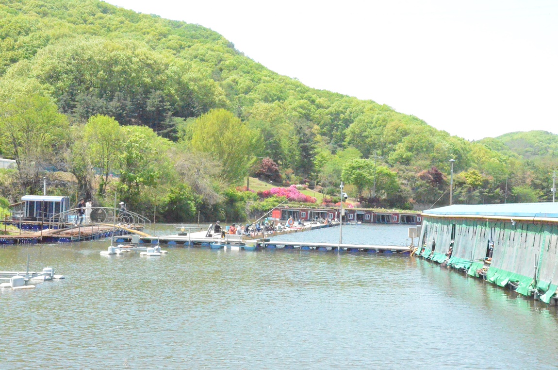 DSC_2962.JPG