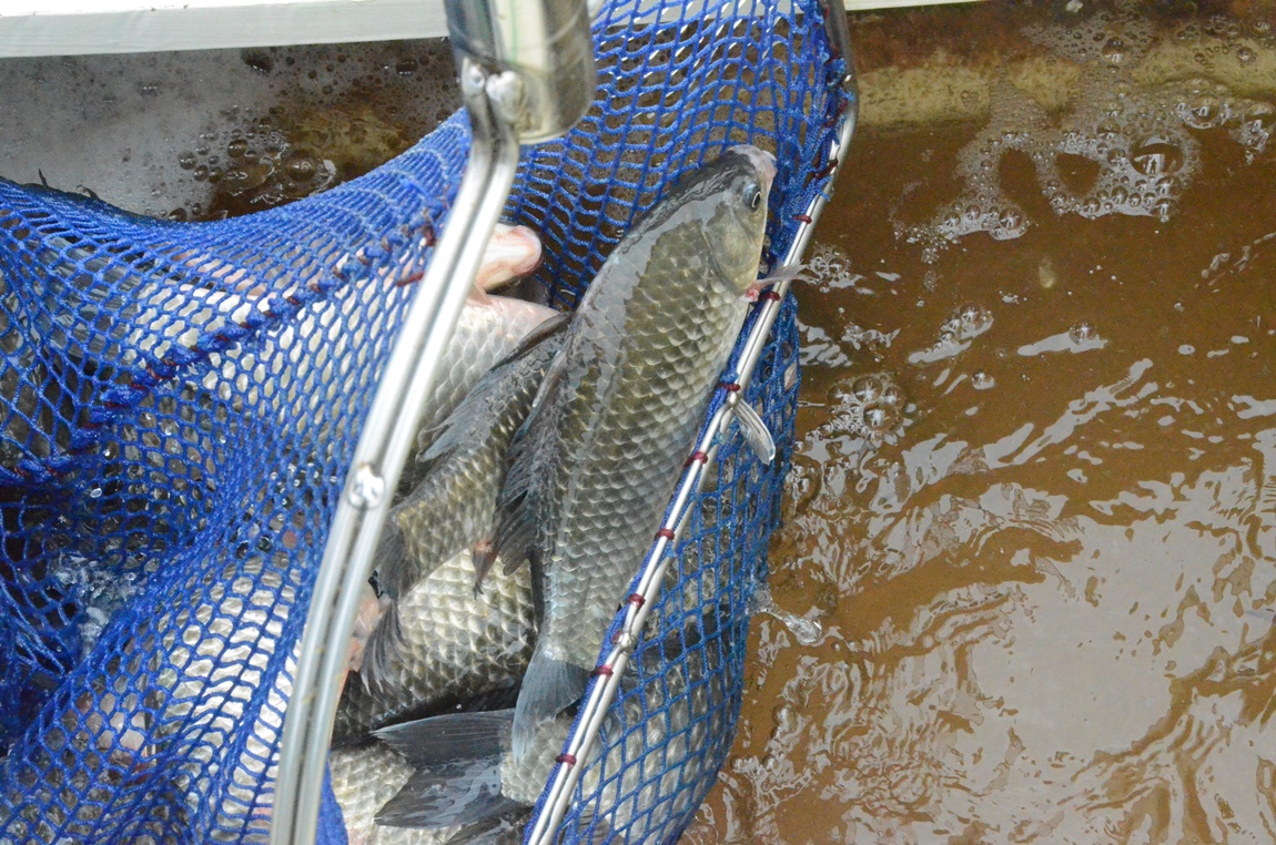 DSC_2824.JPG
