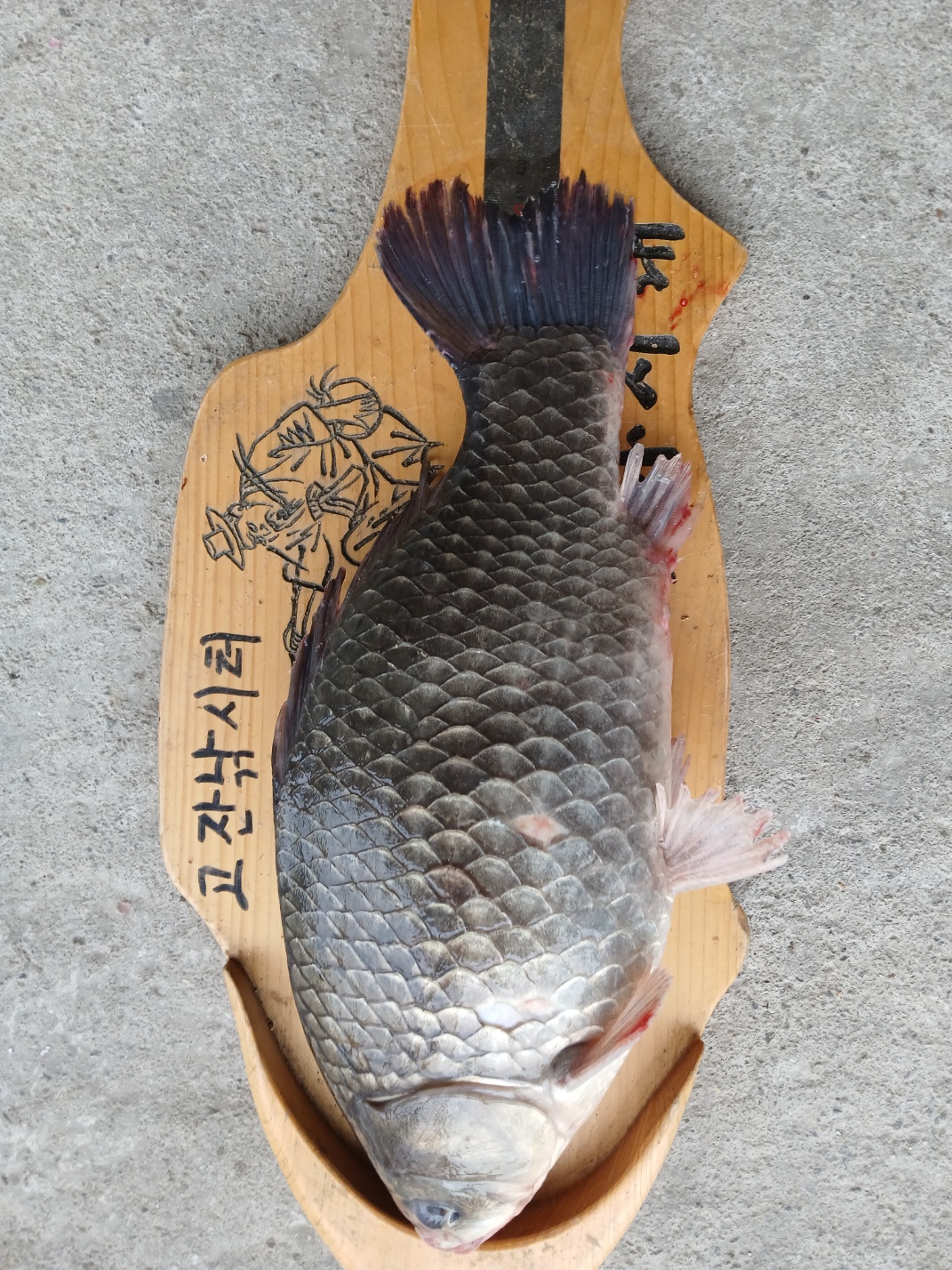 KakaoTalk_20250509_074819106_06.jpg