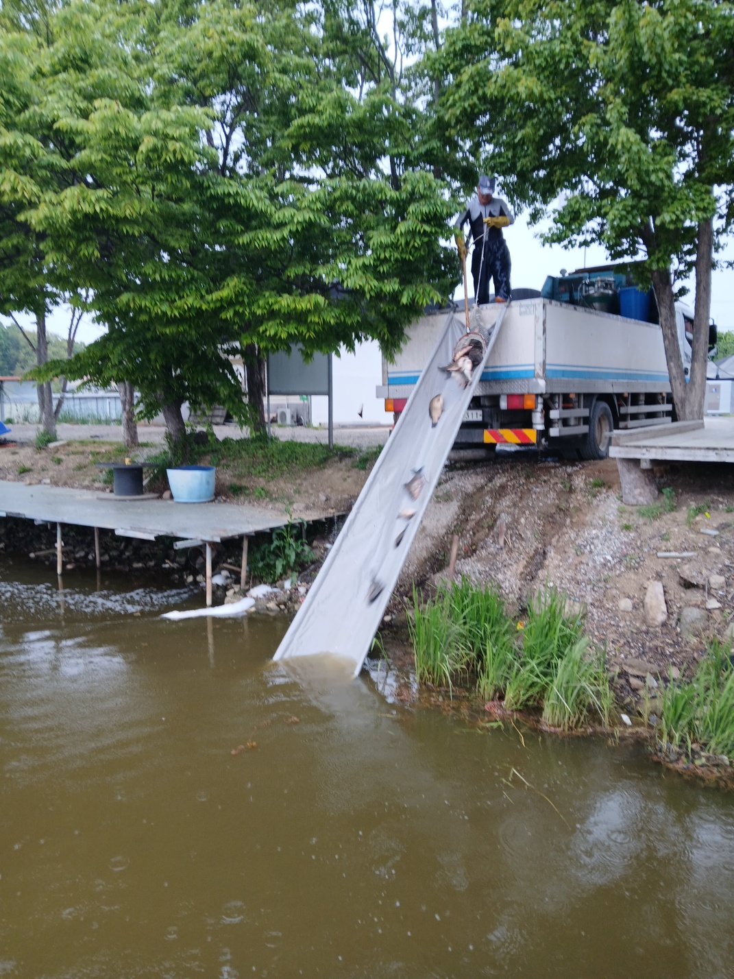 KakaoTalk_20250509_091339474_04.jpg