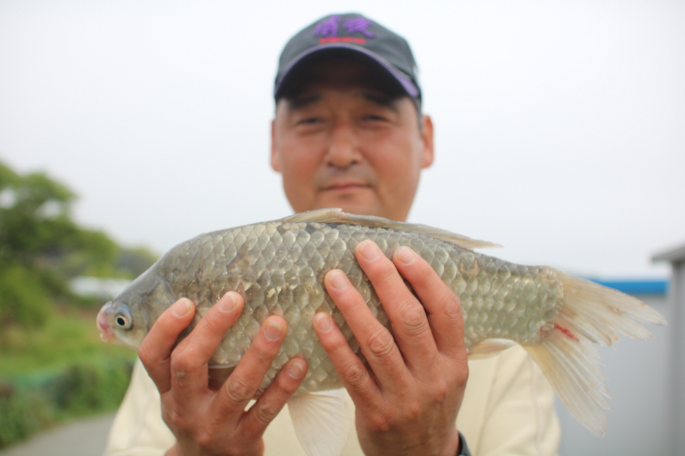 [크기변환]IMG_3618.JPG