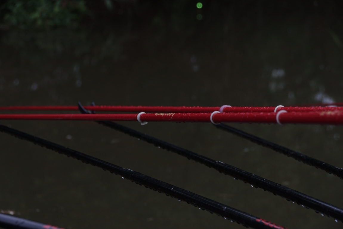 DSC05249.jpg