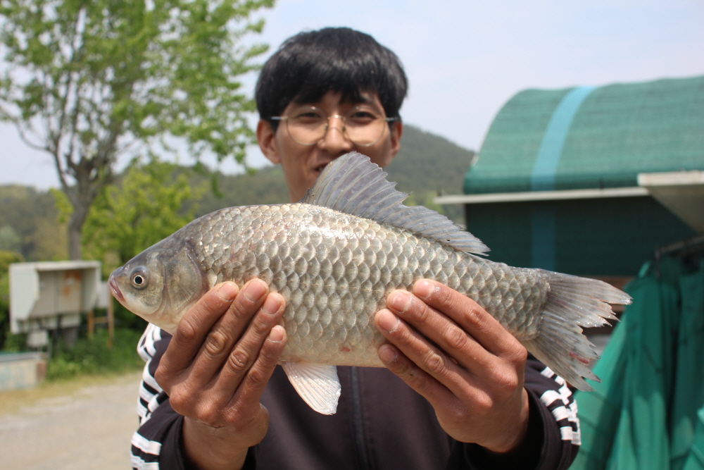 [크기변환]IMG_3662.JPG
