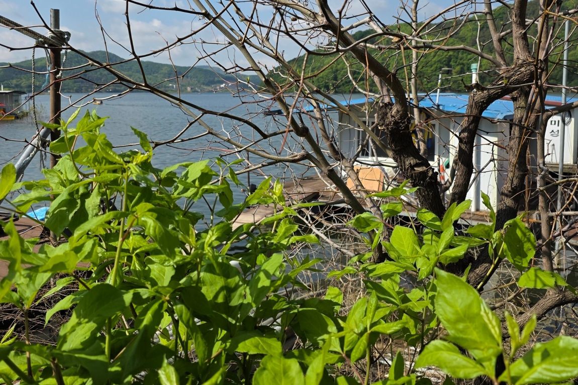 KakaoTalk_20250502_115406759_06.jpg
