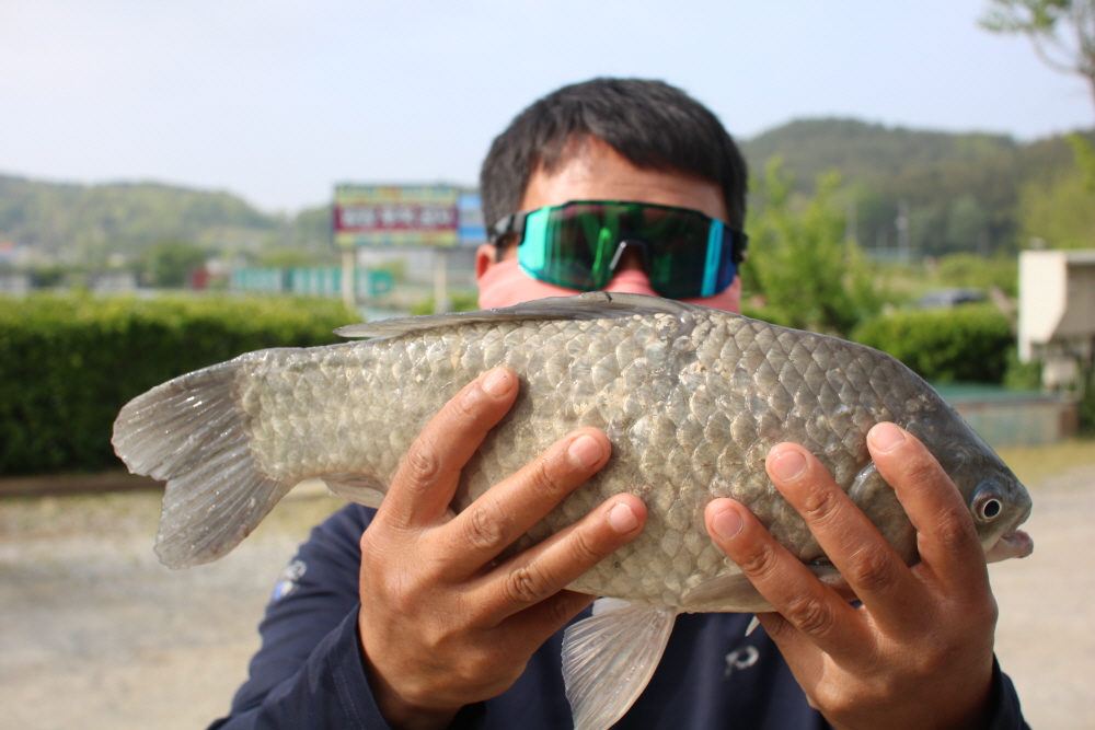 [크기변환]IMG_3801.JPG
