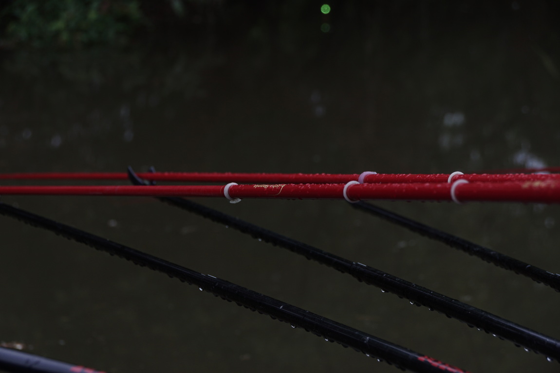 DSC05249.JPG