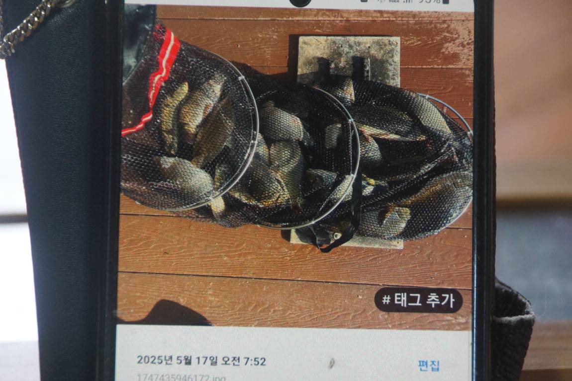 DSC00131.JPG