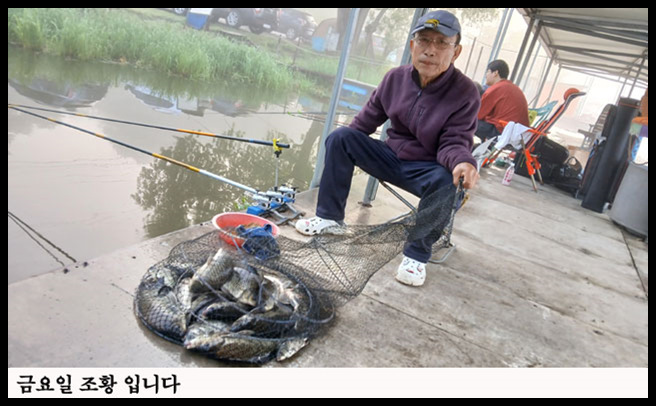 517.jpg