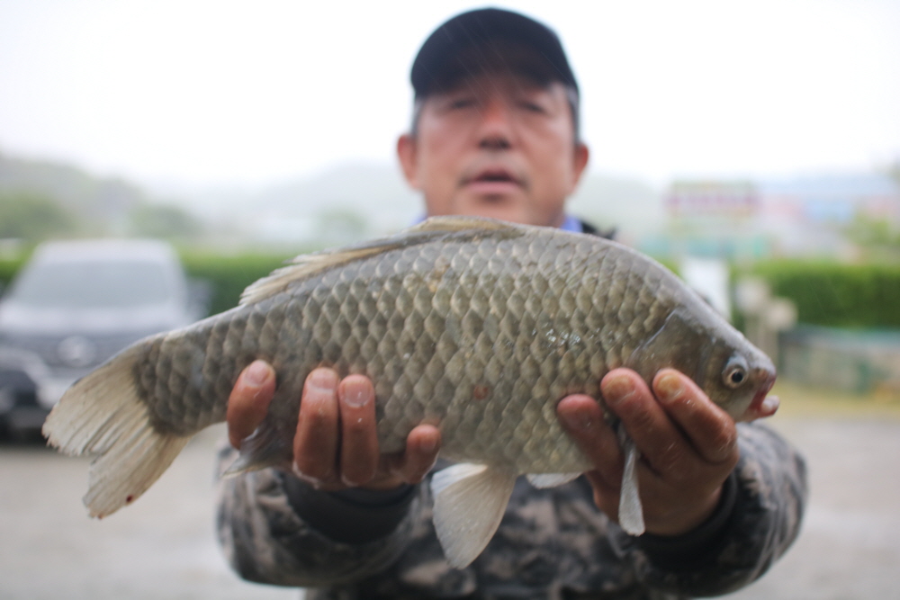 [크기변환]IMG_3925.JPG