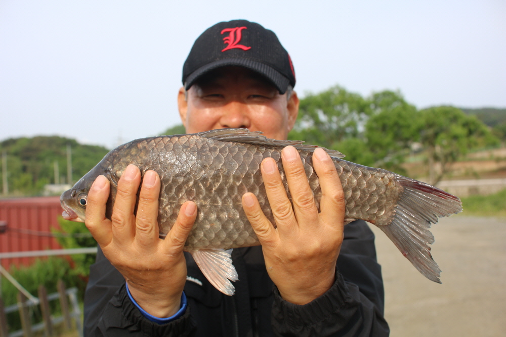 [크기변환]IMG_3944.JPG
