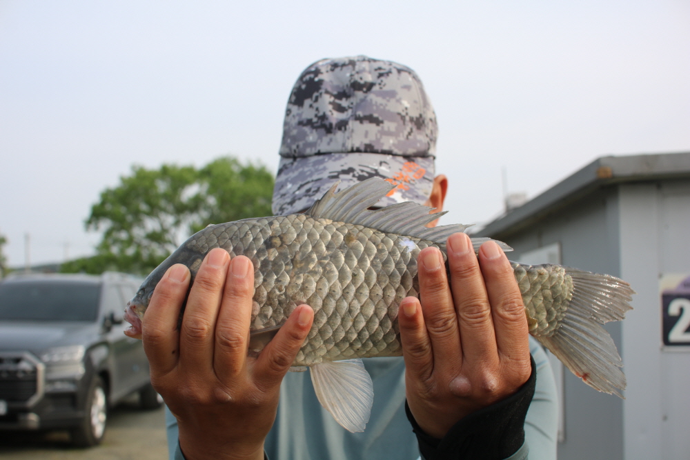 [크기변환]IMG_3938.JPG