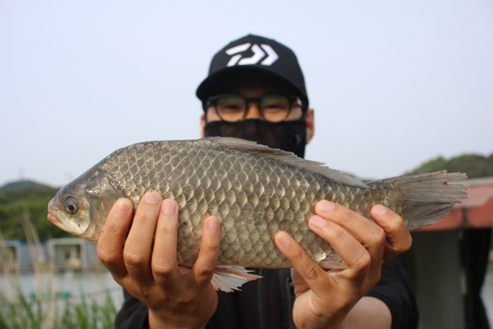 [크기변환]IMG_3962.JPG