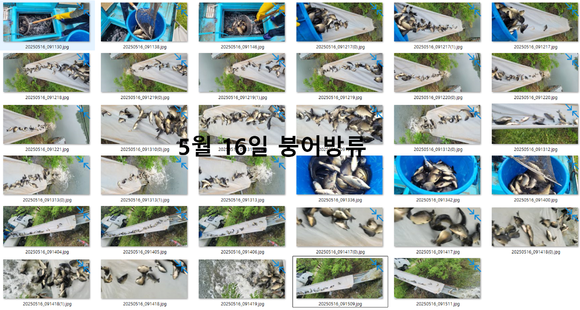 이미지 2.png