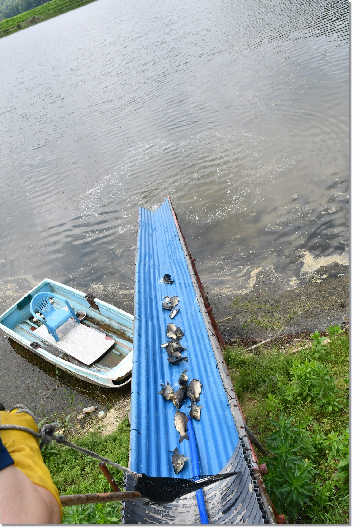 DSC_2115.JPG