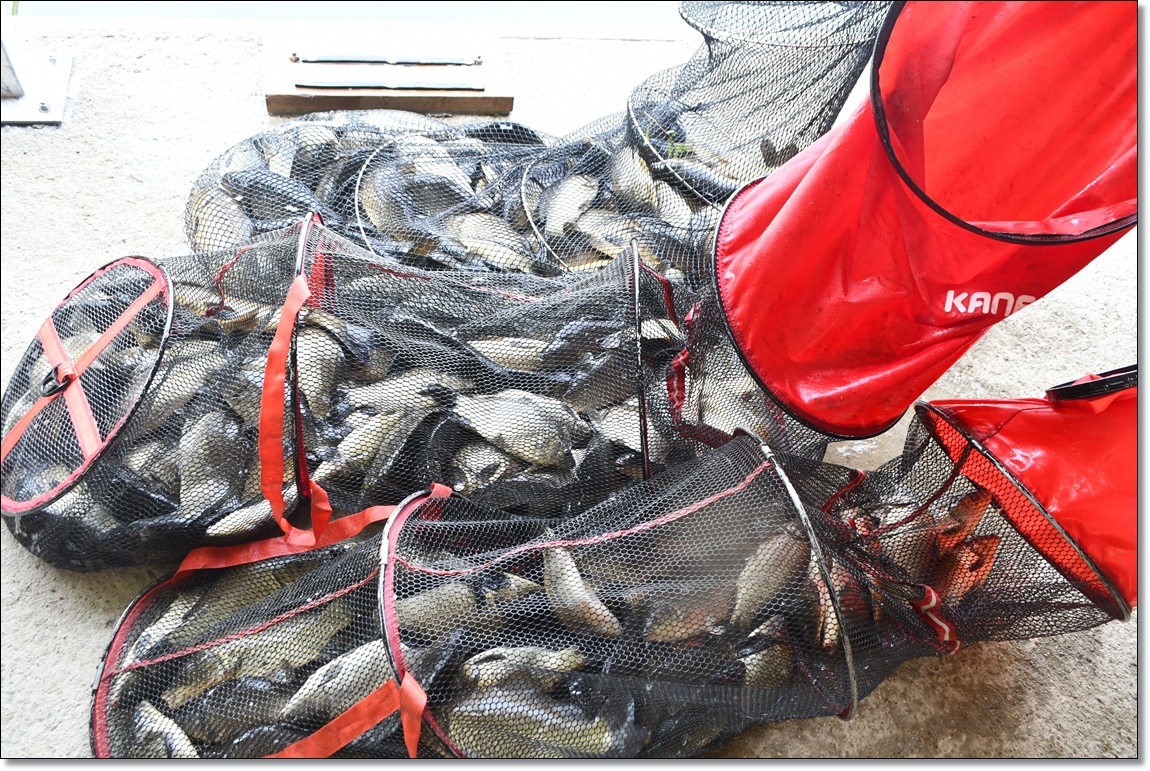 DSC_2161.JPG