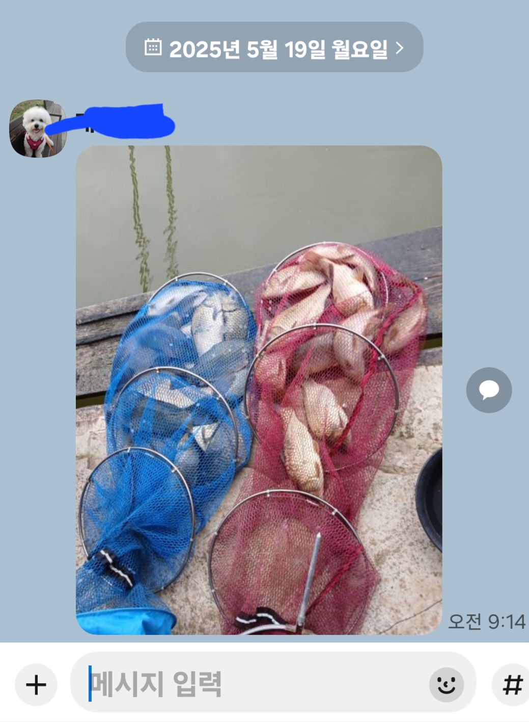 Screenshot_20250519_093805_KakaoTalk.jpg